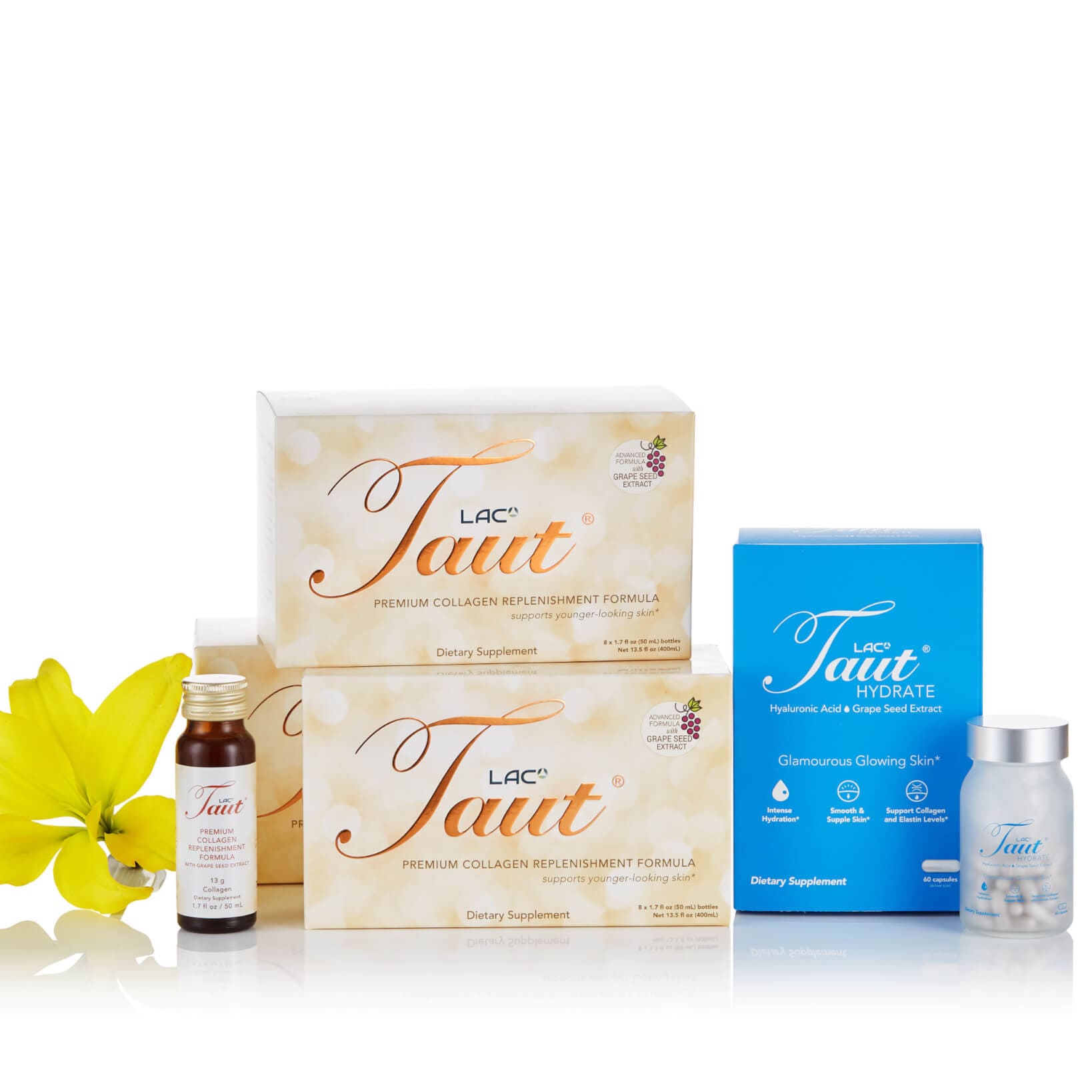 Taut® Ultimate Transformation Program