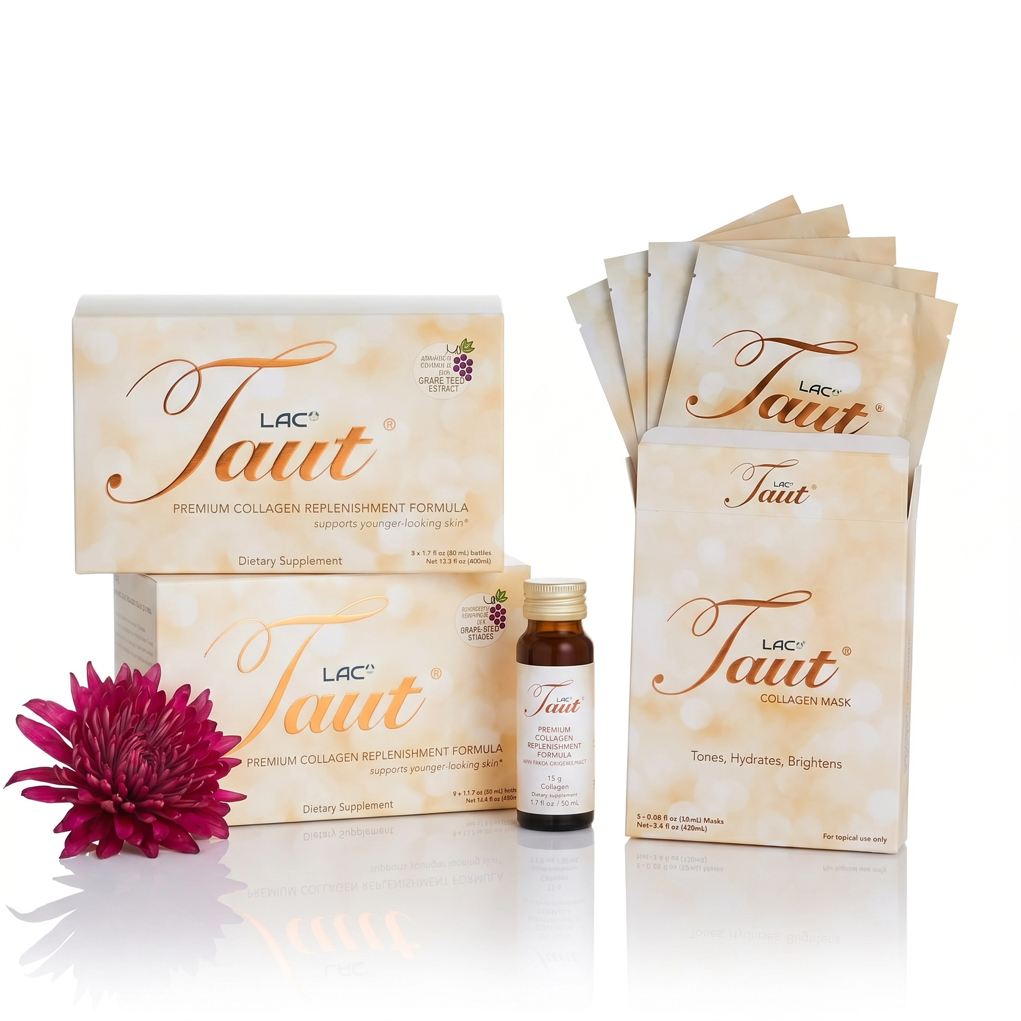 Taut® Discovery Transformation Program
